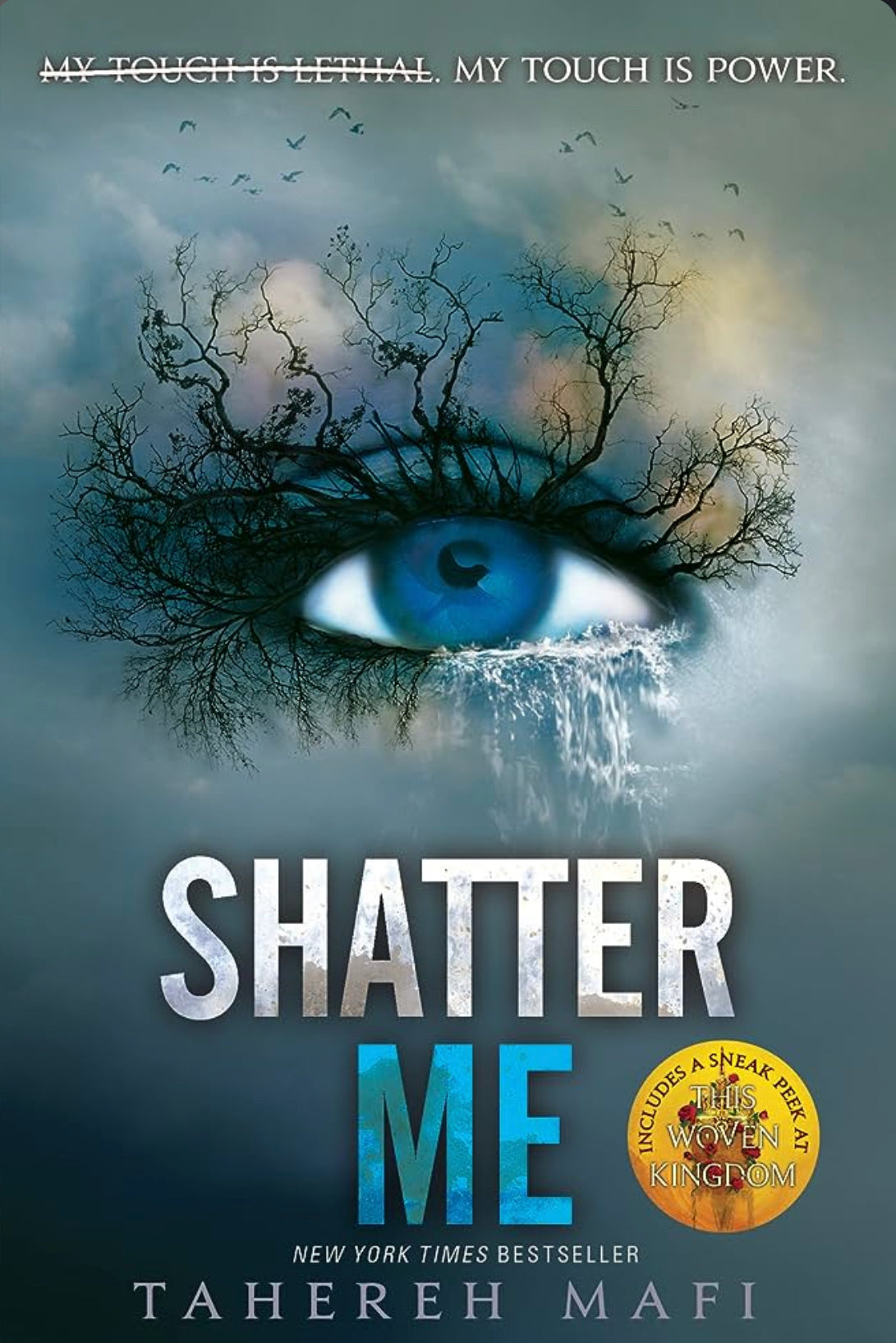 Shatter Me